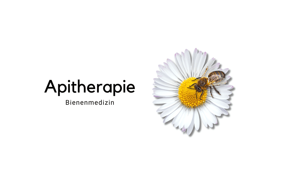 Apitherapie – die Bienenmedizin