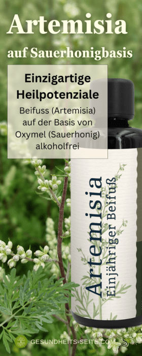 Artemisia Sauerhonig - auf deiner gesundheits-seite
