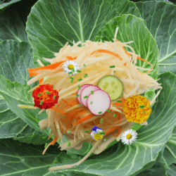 Weißkohlsalat mit Blüten