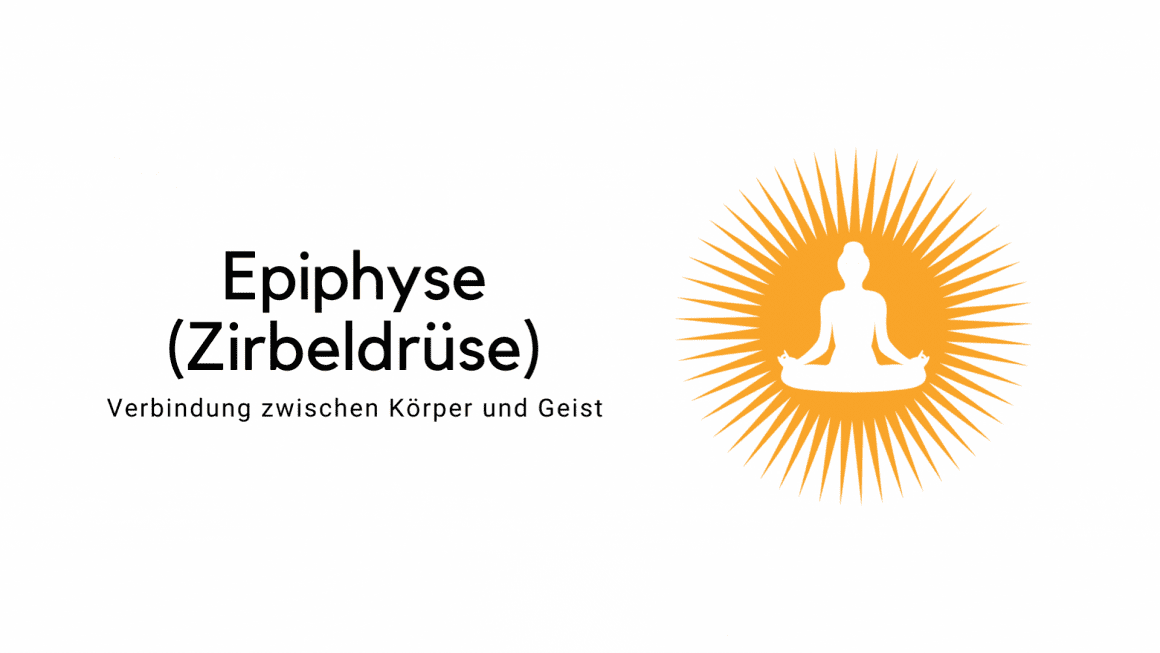 Epiphyse – Verbindung zwischen Körper und Geist