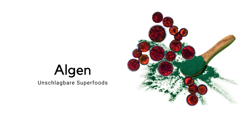 Algen-Superfood auf deiner Gesundheits-Seite