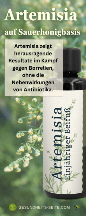 Artemisia Beifuss gegen Borrelien - Gesundheits-Seite